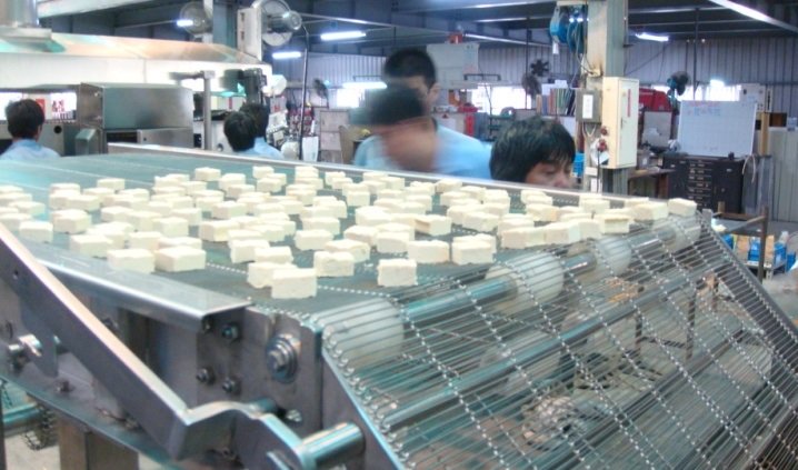 Băng Tải Lưới Đậu Hũ Chiên