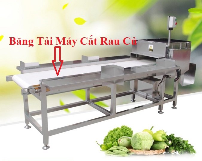 Băng Tải Máy Cắt Thái Rau Củ