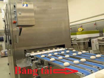 Băng Tải Máy Chia Bột Bánh Mì Tròn